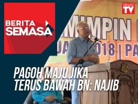 Pagoh maju jika terus bawah BN: Najib